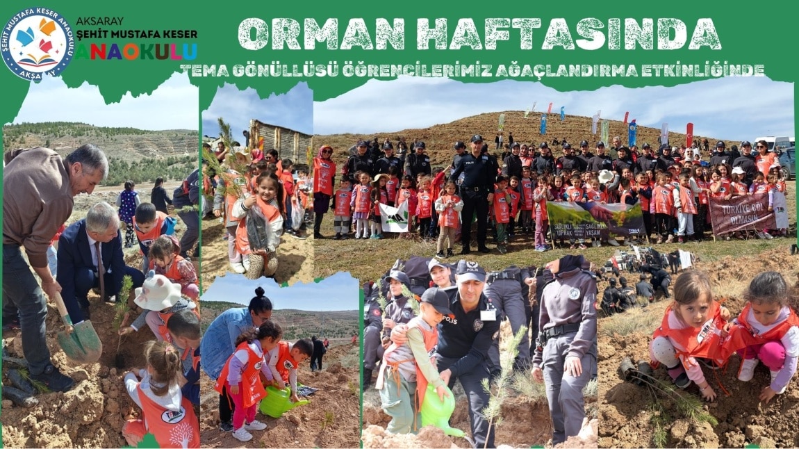 TÜRKİYE ÇÖL OLMASIN DİYEN ÖĞRENCİLERİMİZ FİDANLARI İLE DOĞADA...